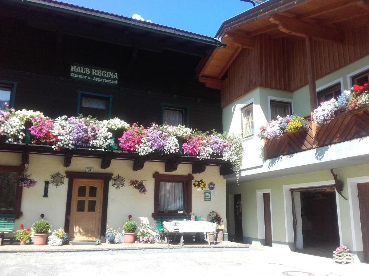 Ferienhaus Regina Werfenweng Dış mekan fotoğraf
