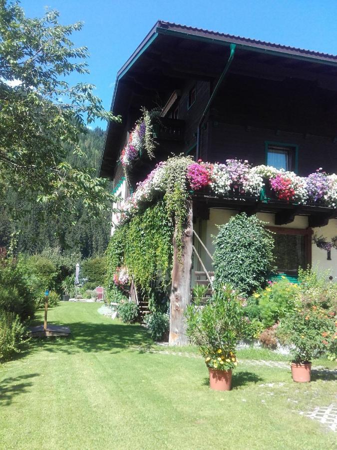 Ferienhaus Regina Werfenweng Dış mekan fotoğraf