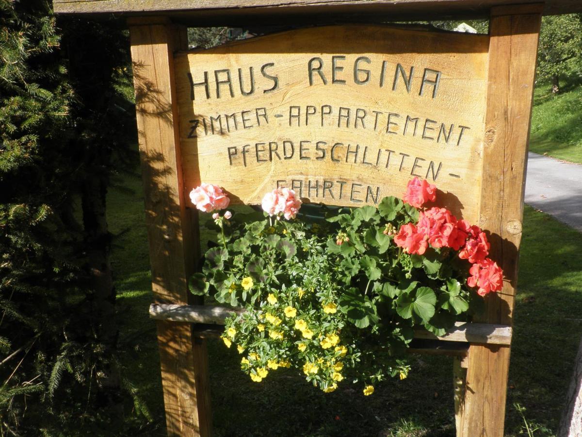 Ferienhaus Regina Werfenweng Dış mekan fotoğraf